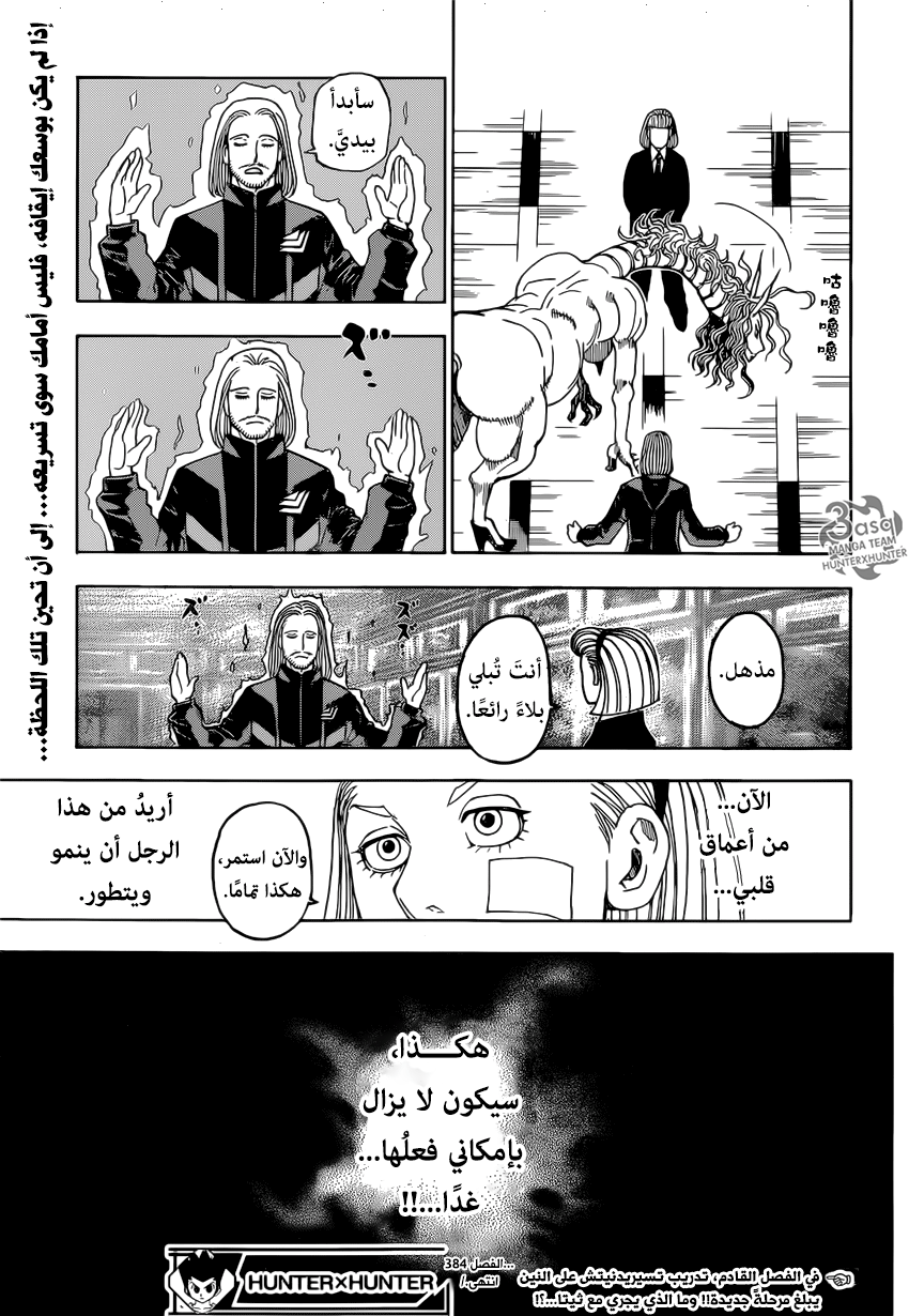 Hunter x Hunter: Chapter 384 - Page 16