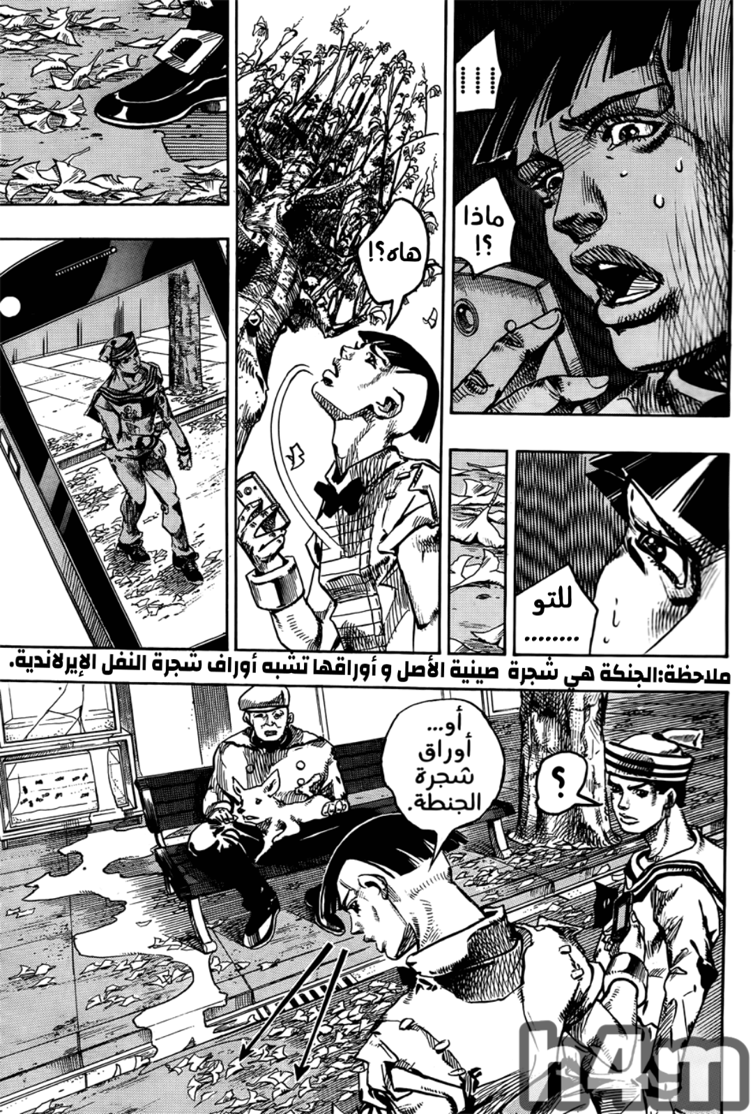 JoJo's Bizarre Adventure Part 8 - JoJolion: Chapter 18 - Page 48
