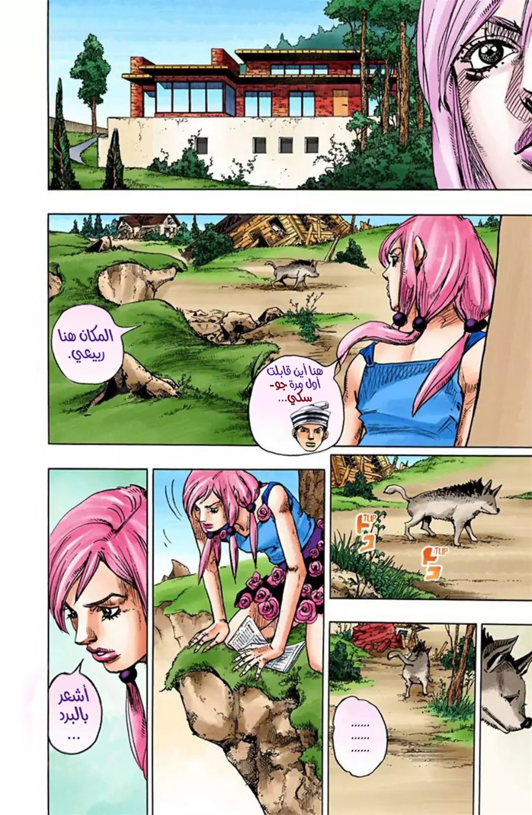 JoJo's Bizarre Adventure Part 8 - JoJolion: Chapter 22 - Page 22