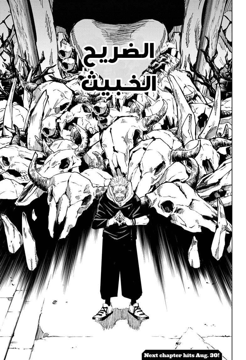 Jujutsu Kaisen: Chapter 118 - Page 17