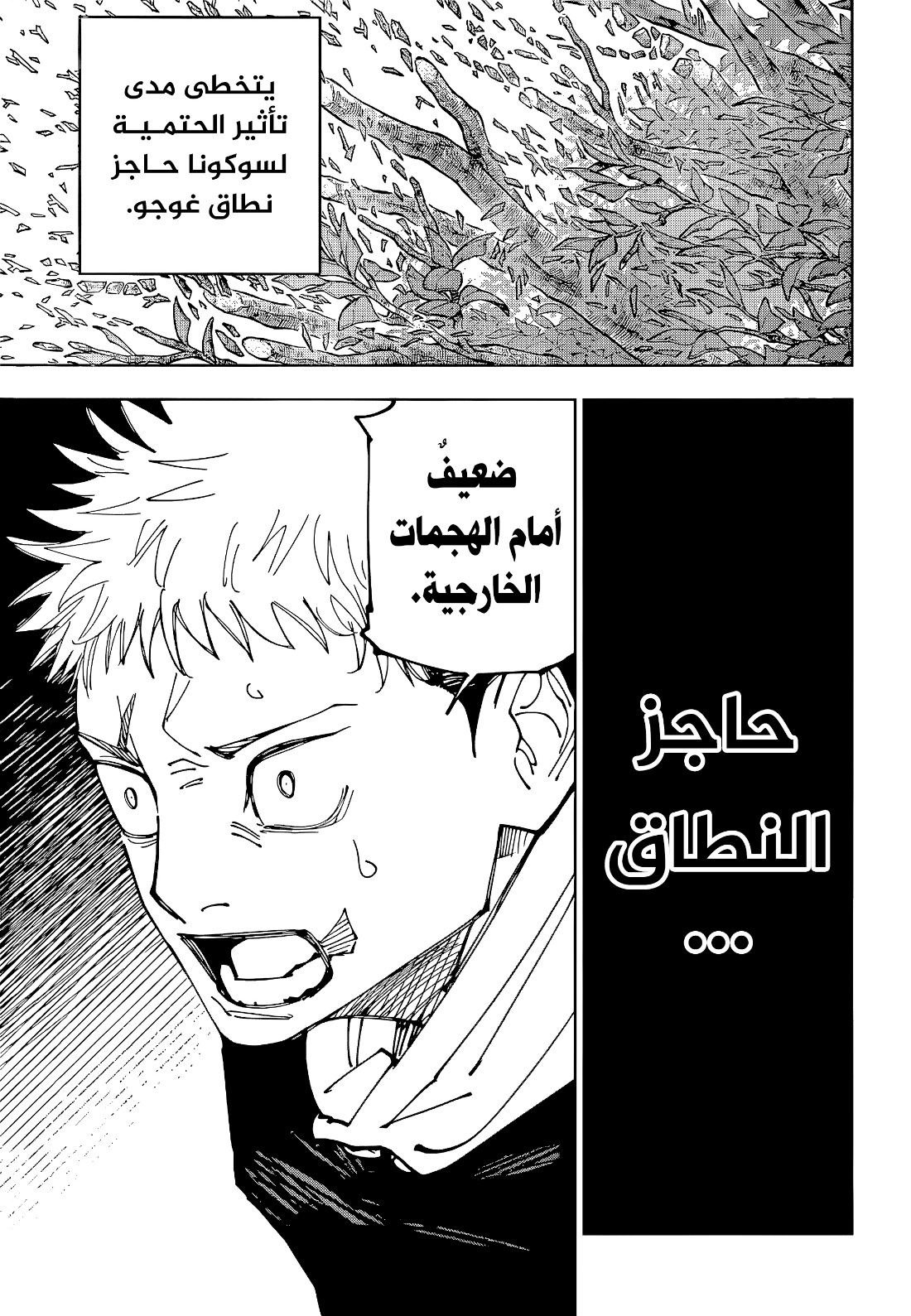 Jujutsu Kaisen: Chapter 225 - Page 15