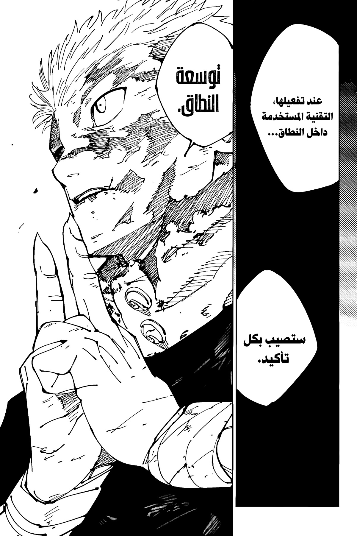 Jujutsu Kaisen: Chapter 264 - Page 18