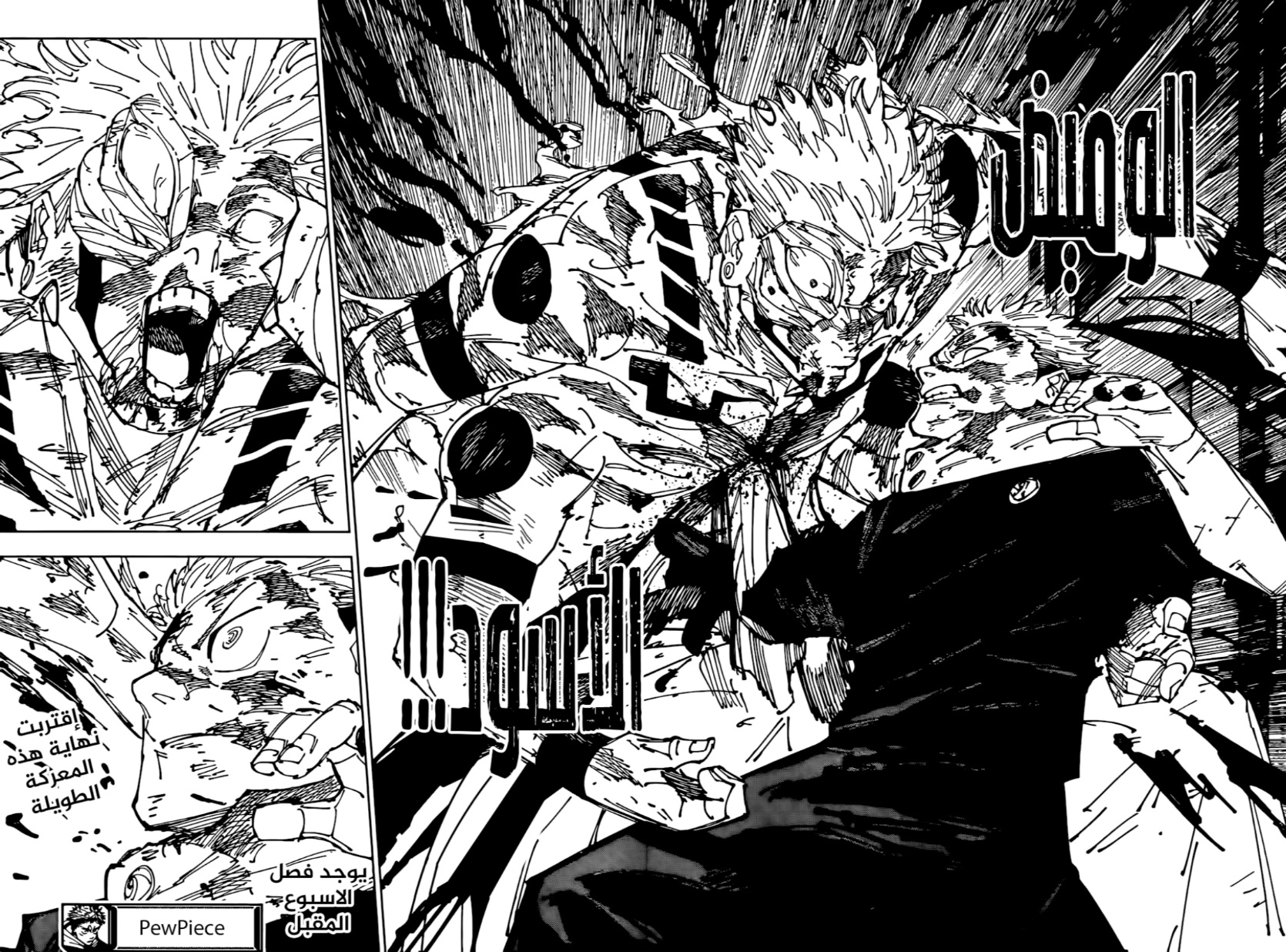 Jujutsu Kaisen: Chapter 267 - Page 19