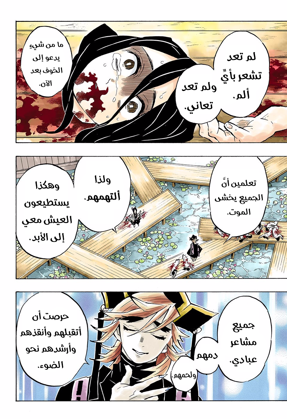 Kimetsu no Yaiba: Chapter 141 - Page 11