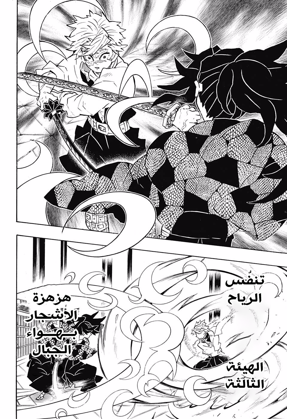 Kimetsu no Yaiba: Chapter 167 - Page 5