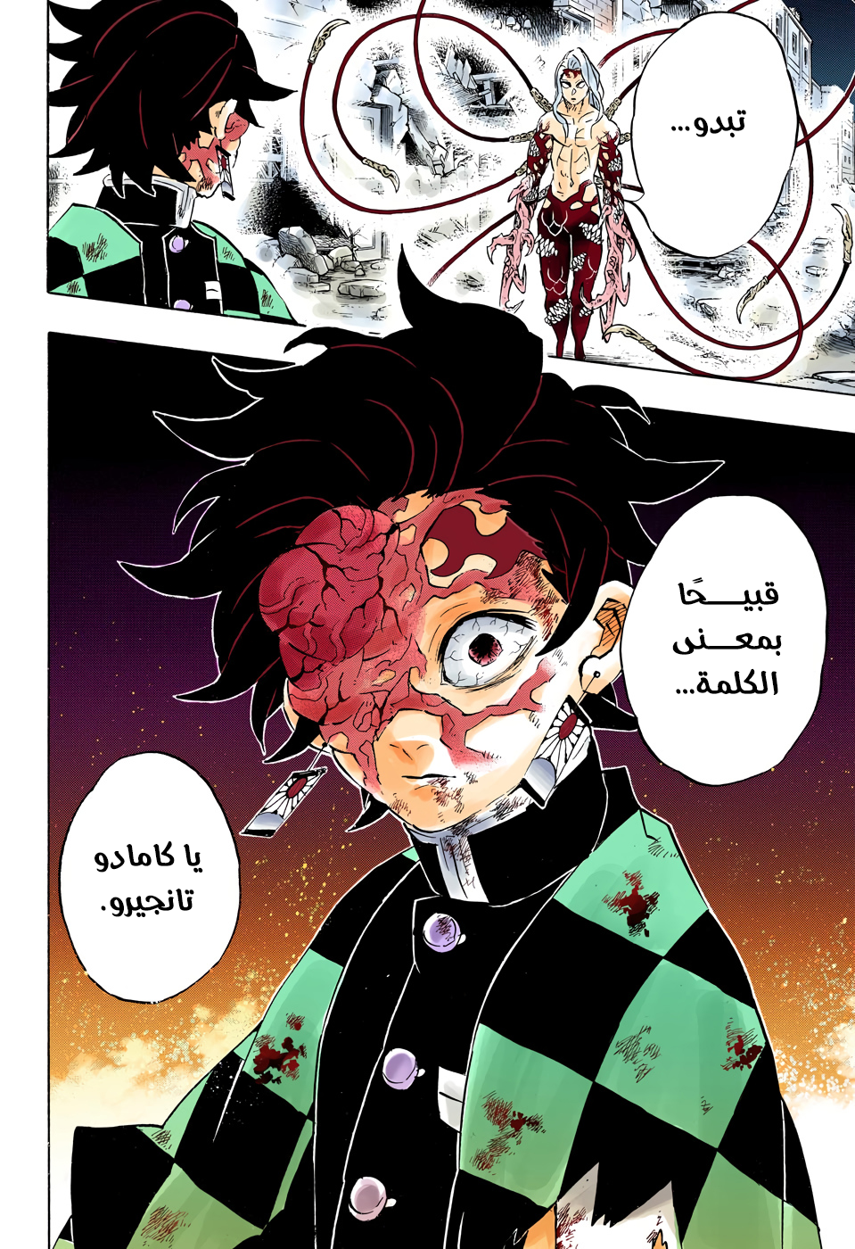 Kimetsu no Yaiba: Chapter 191 - Page 21