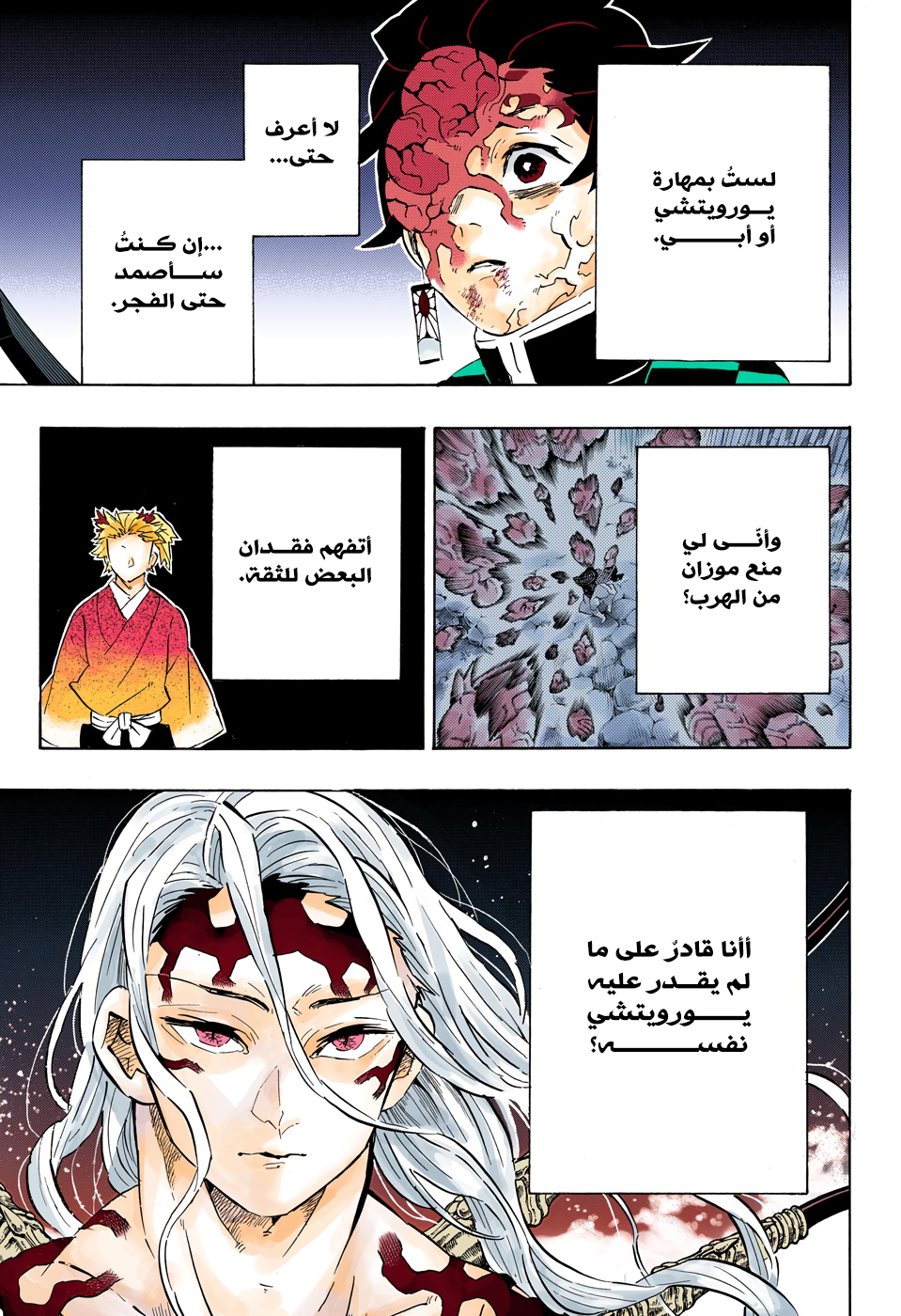 Kimetsu no Yaiba: Chapter 192 - Page 12