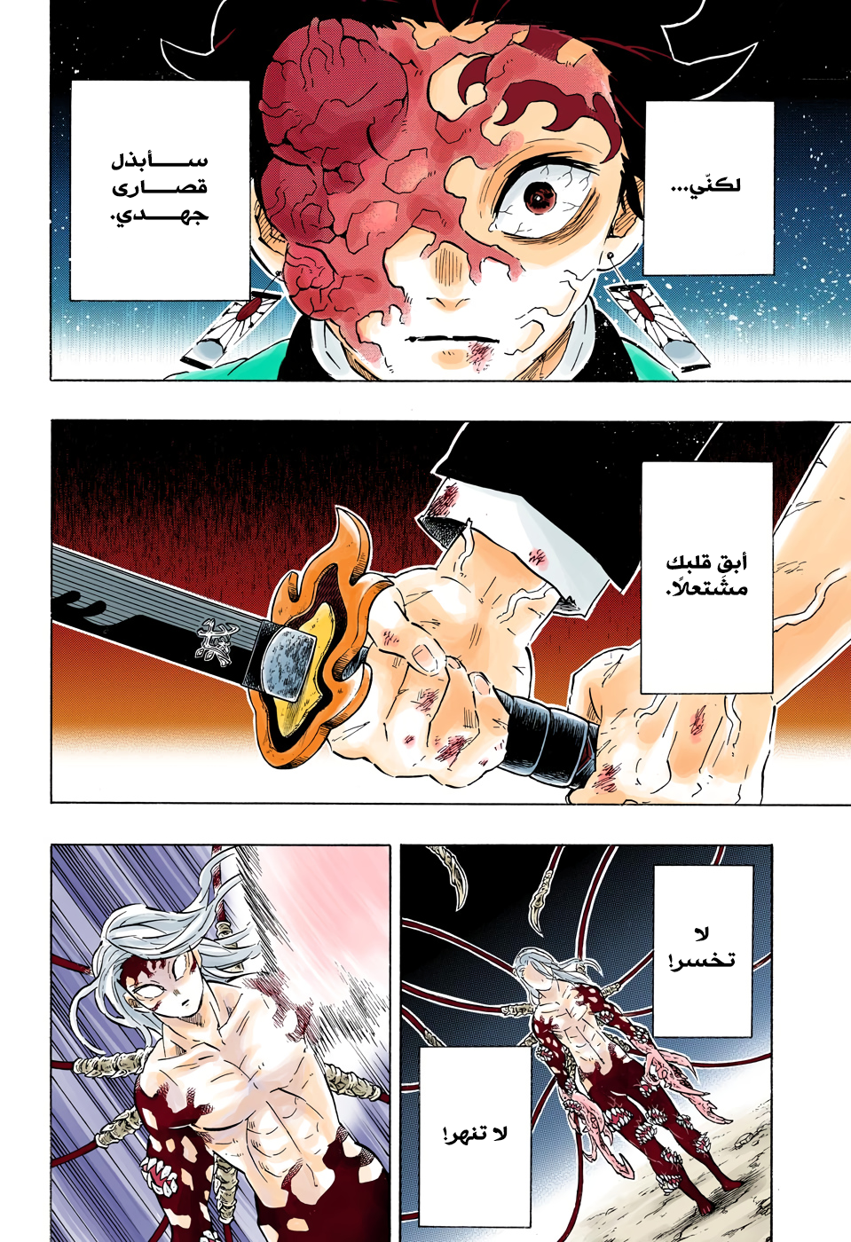 Kimetsu no Yaiba: Chapter 192 - Page 13
