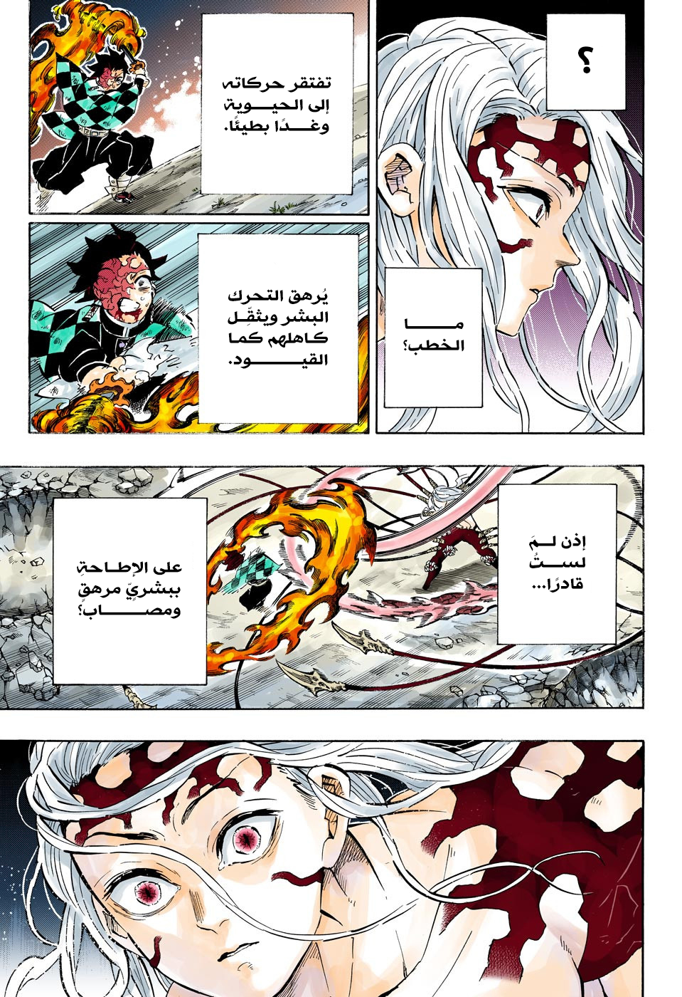 Kimetsu no Yaiba: Chapter 193 - Page 12