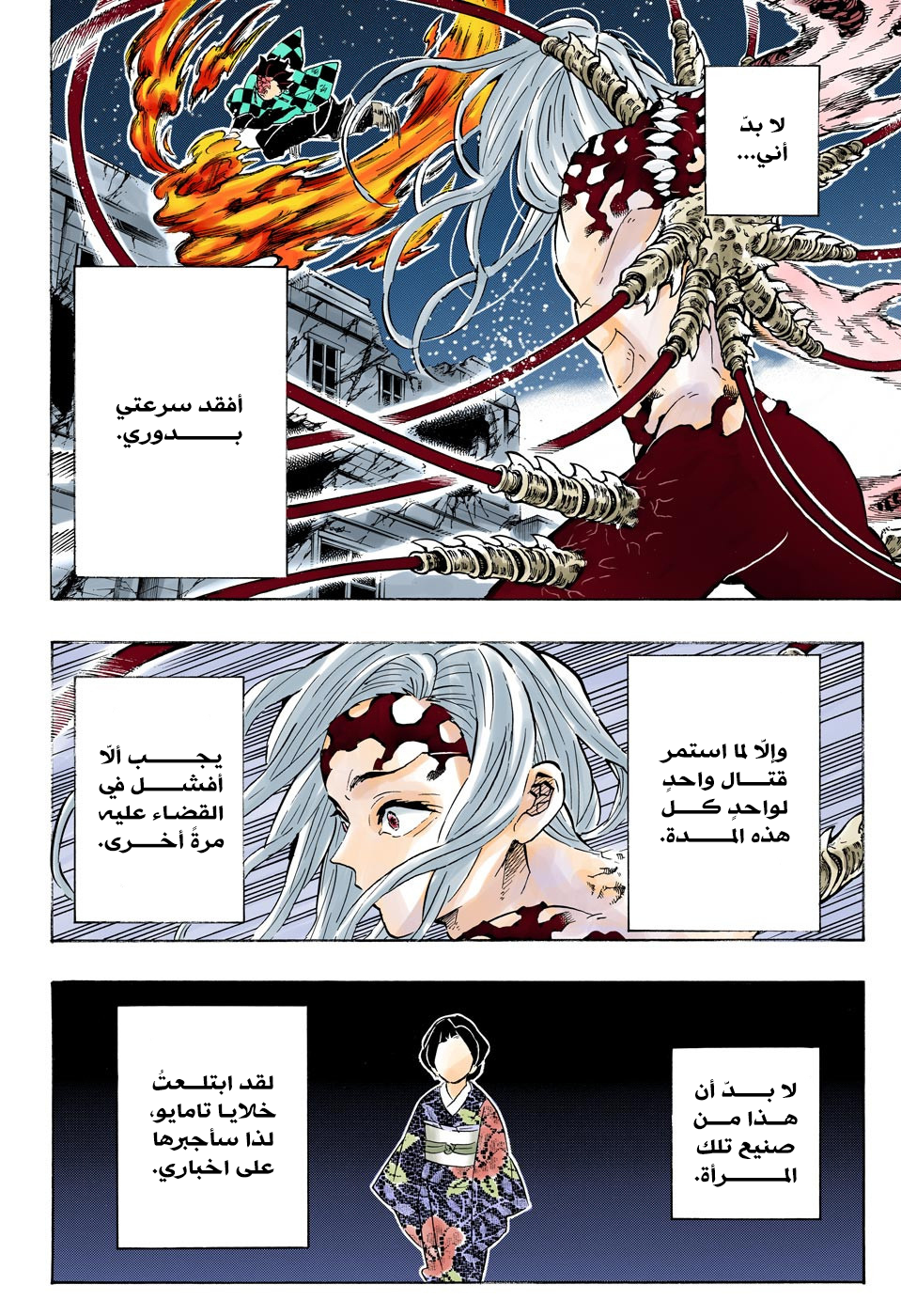 Kimetsu no Yaiba: Chapter 193 - Page 13