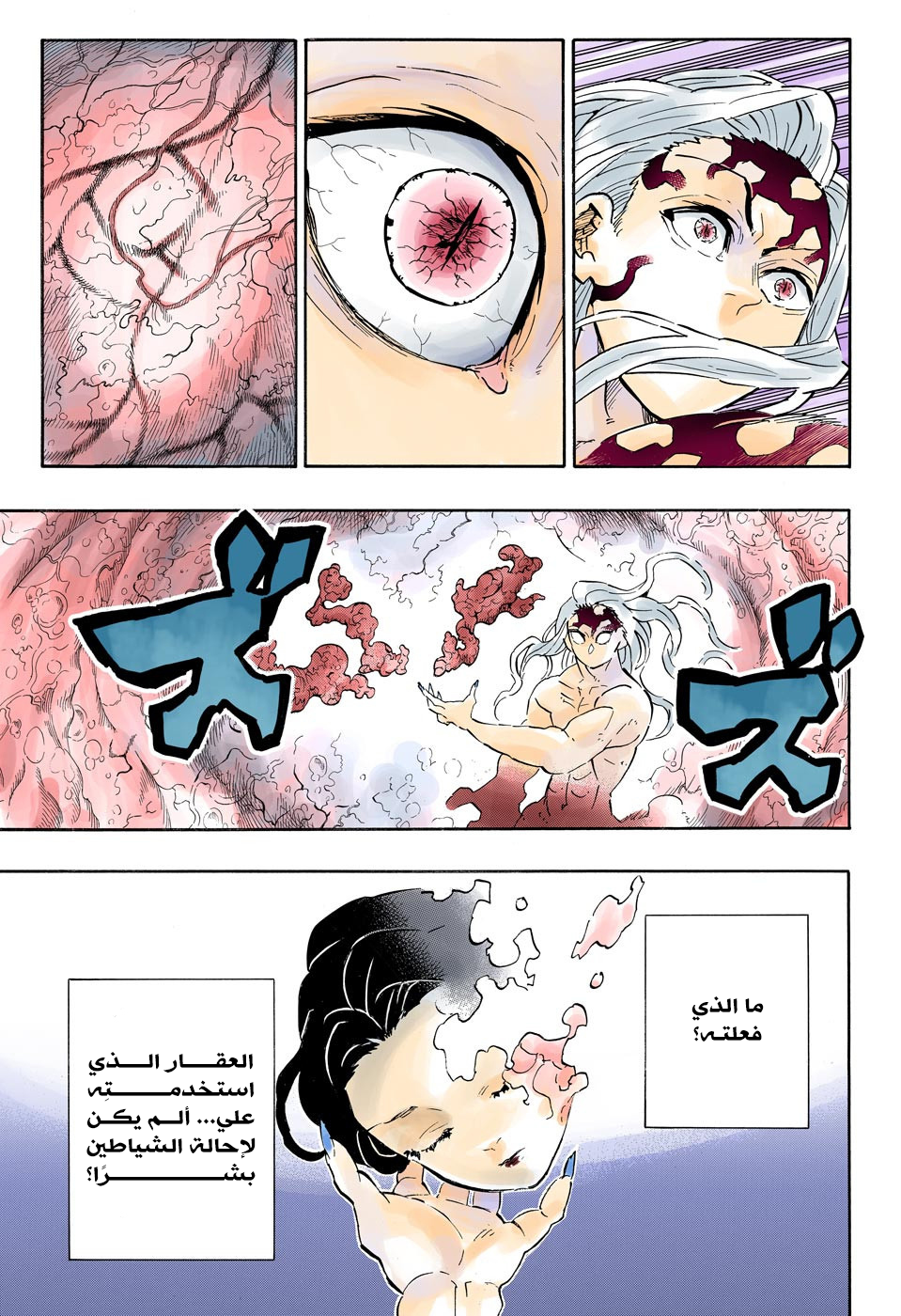 Kimetsu no Yaiba: Chapter 193 - Page 14