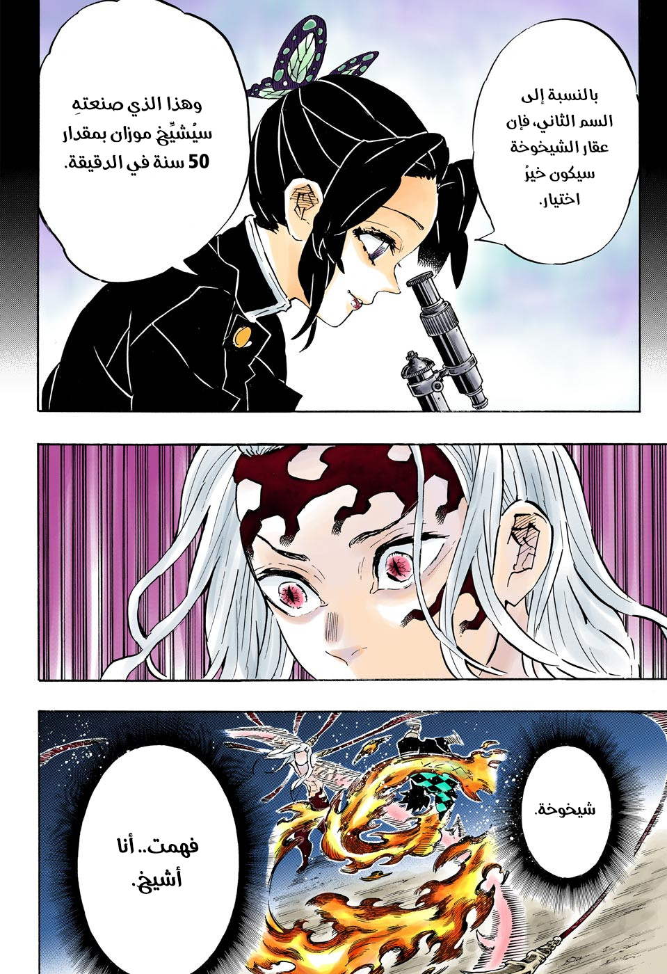Kimetsu no Yaiba: Chapter 193 - Page 17