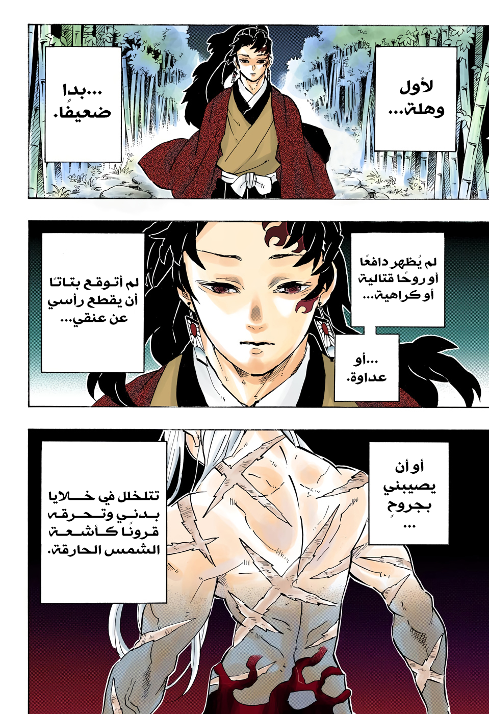 Kimetsu no Yaiba: Chapter 195 - Page 2