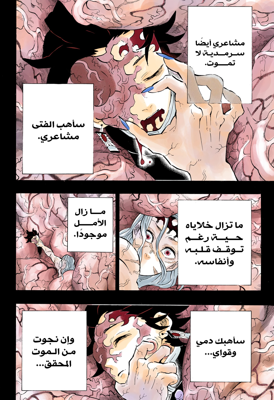 Kimetsu no Yaiba: Chapter 201 - Page 4