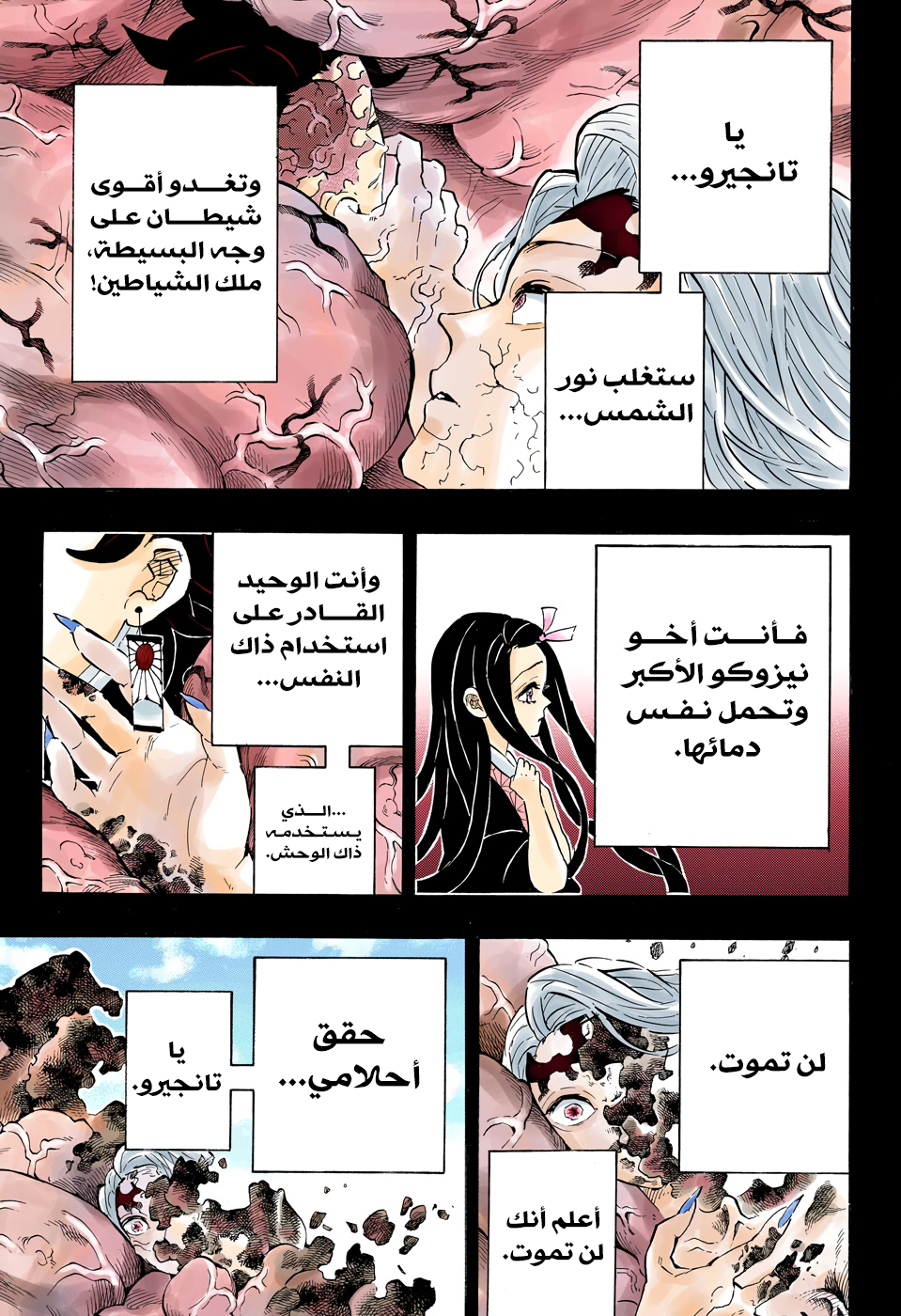 Kimetsu no Yaiba: Chapter 201 - Page 5