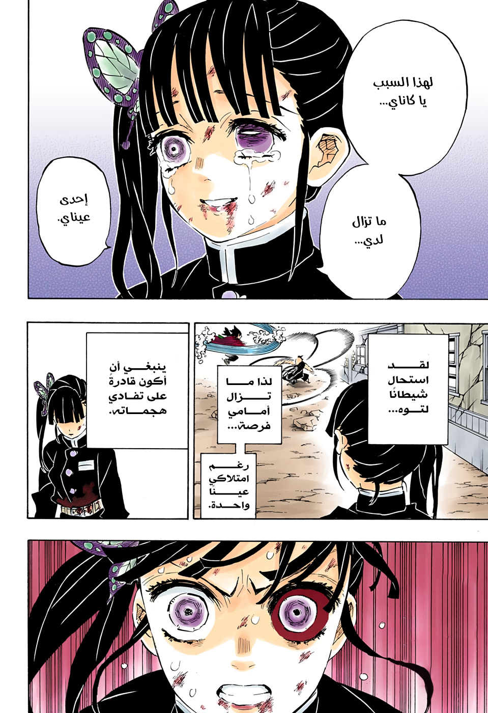 Kimetsu no Yaiba: Chapter 202 - Page 17