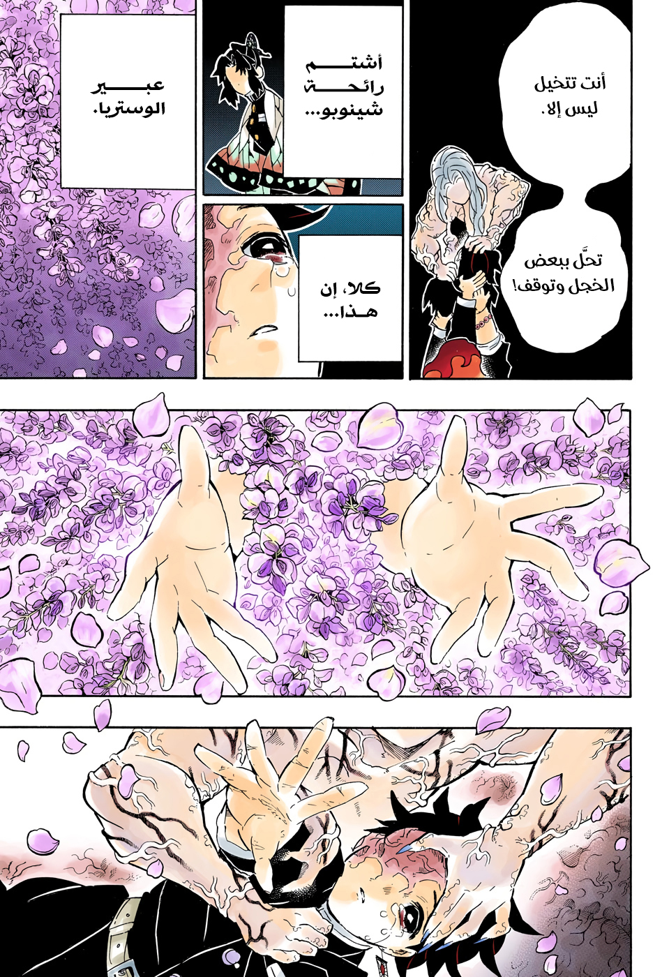 Kimetsu no Yaiba: Chapter 203 - Page 10