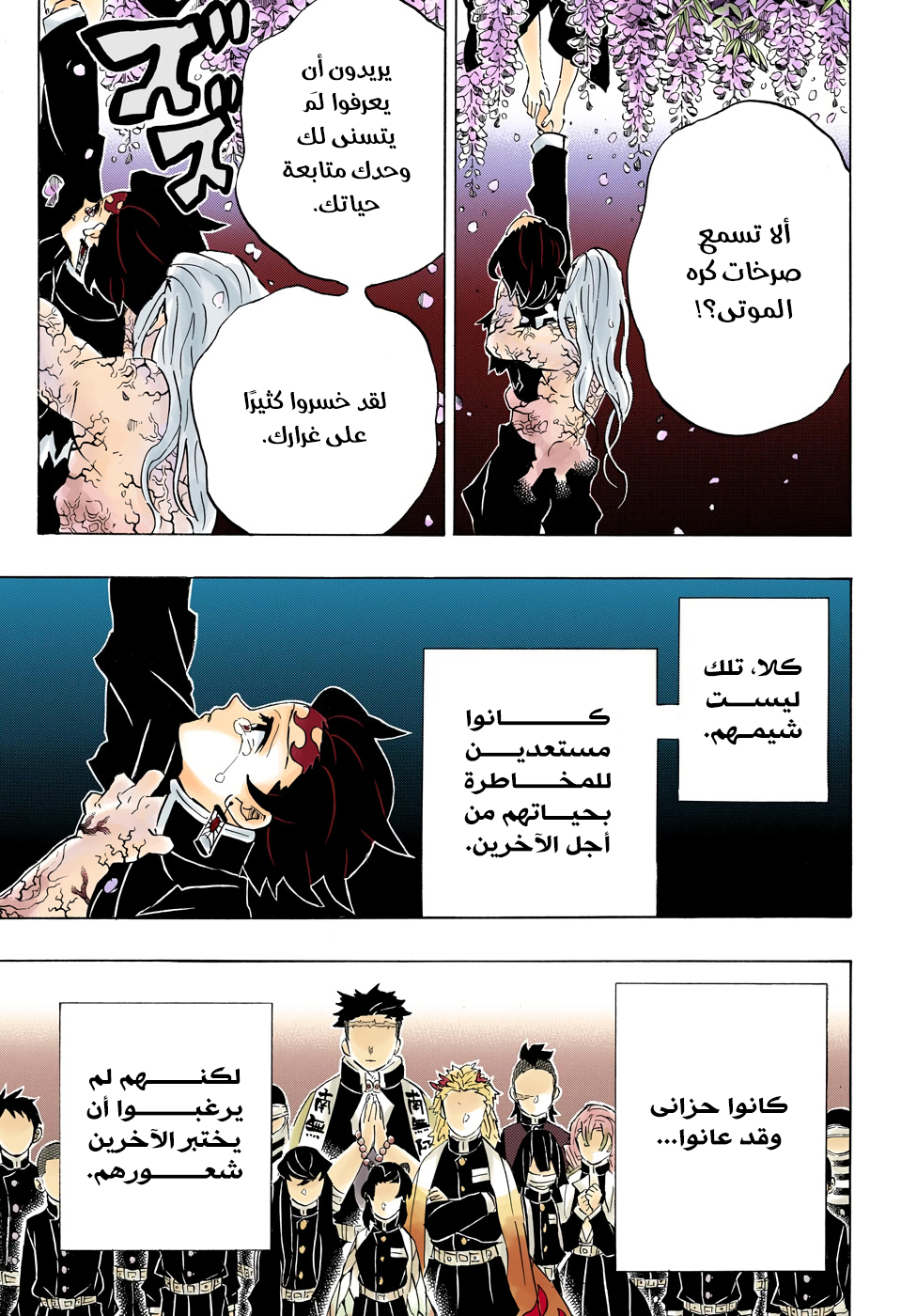 Kimetsu no Yaiba: Chapter 203 - Page 12