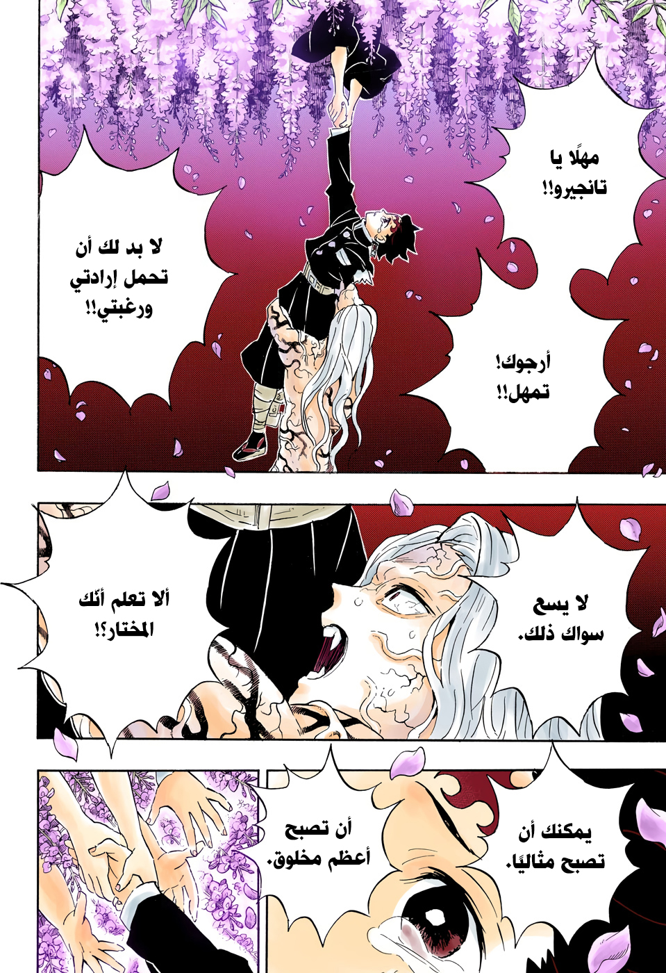 Kimetsu no Yaiba: Chapter 203 - Page 13