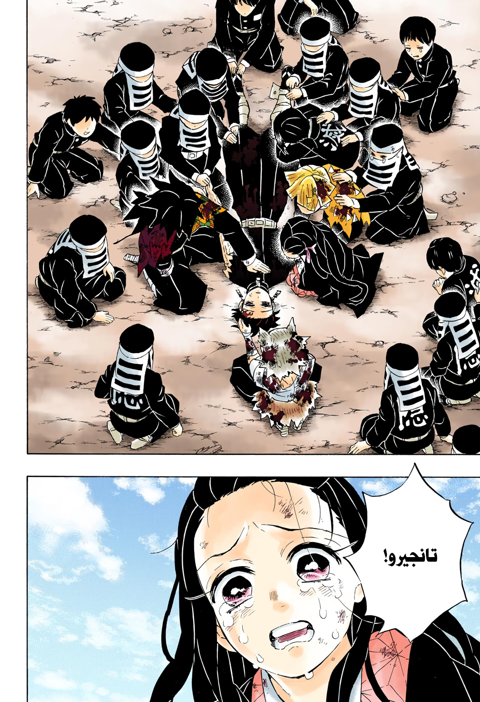 Kimetsu no Yaiba: Chapter 203 - Page 17