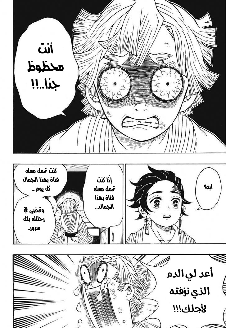 Kimetsu no Yaiba: Chapter 27 - Page 19