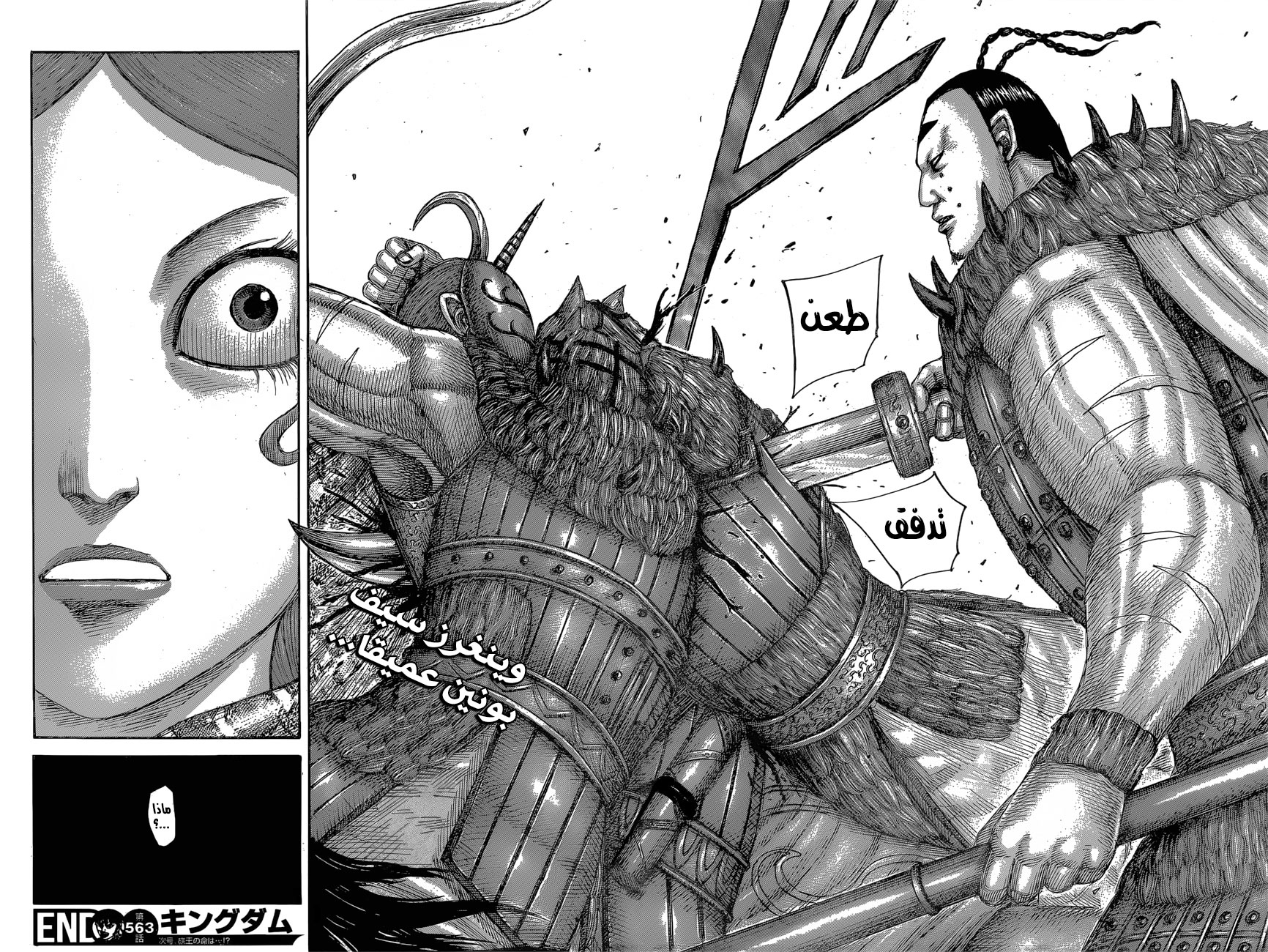 Kingdom: Chapter 563 - Page 19