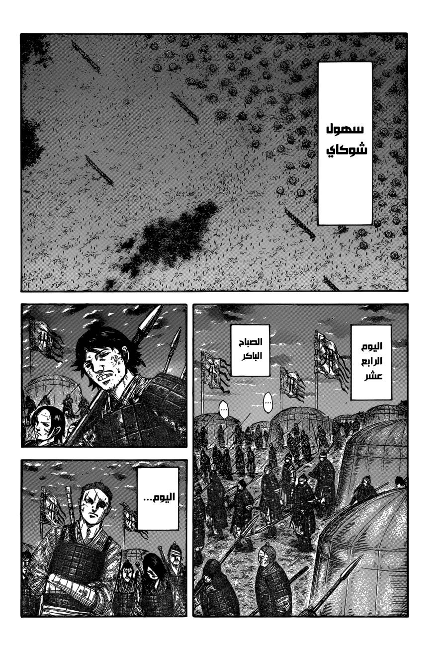 Kingdom: Chapter 589 - Page 13