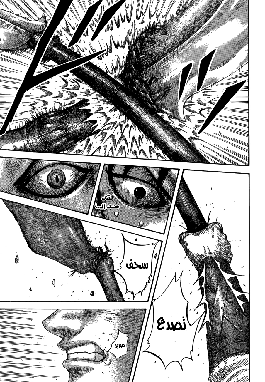 Kingdom: Chapter 610 - Page 8