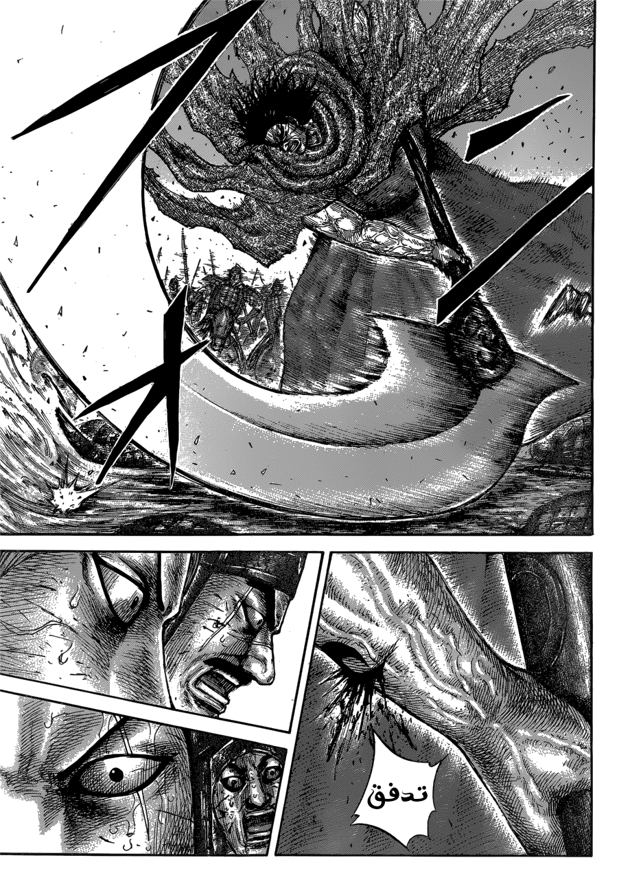 Kingdom: Chapter 620 - Page 14