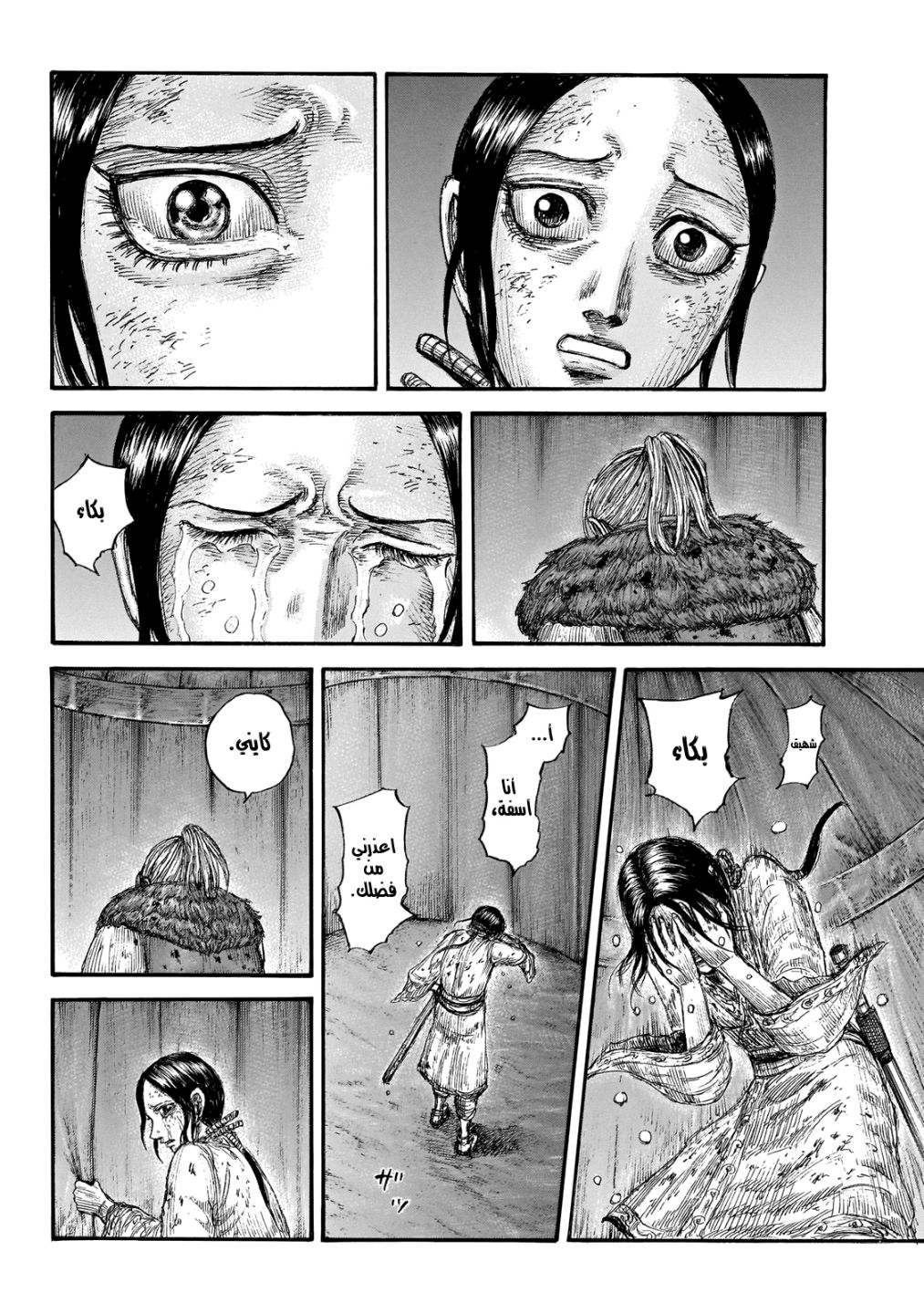 Kingdom: Chapter 646 - Page 19