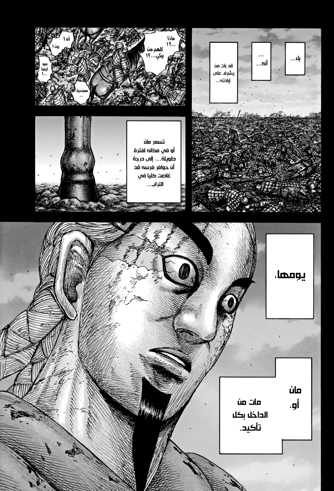 Kingdom: Chapter 660 - Page 12