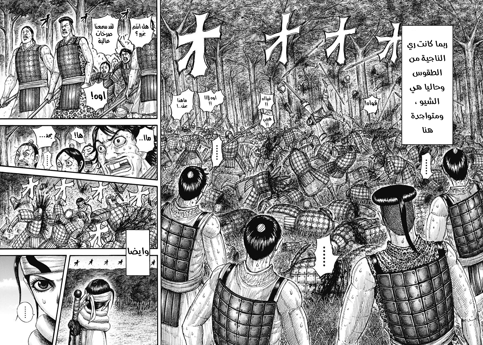 Kingdom: Chapter 665 - Page 4