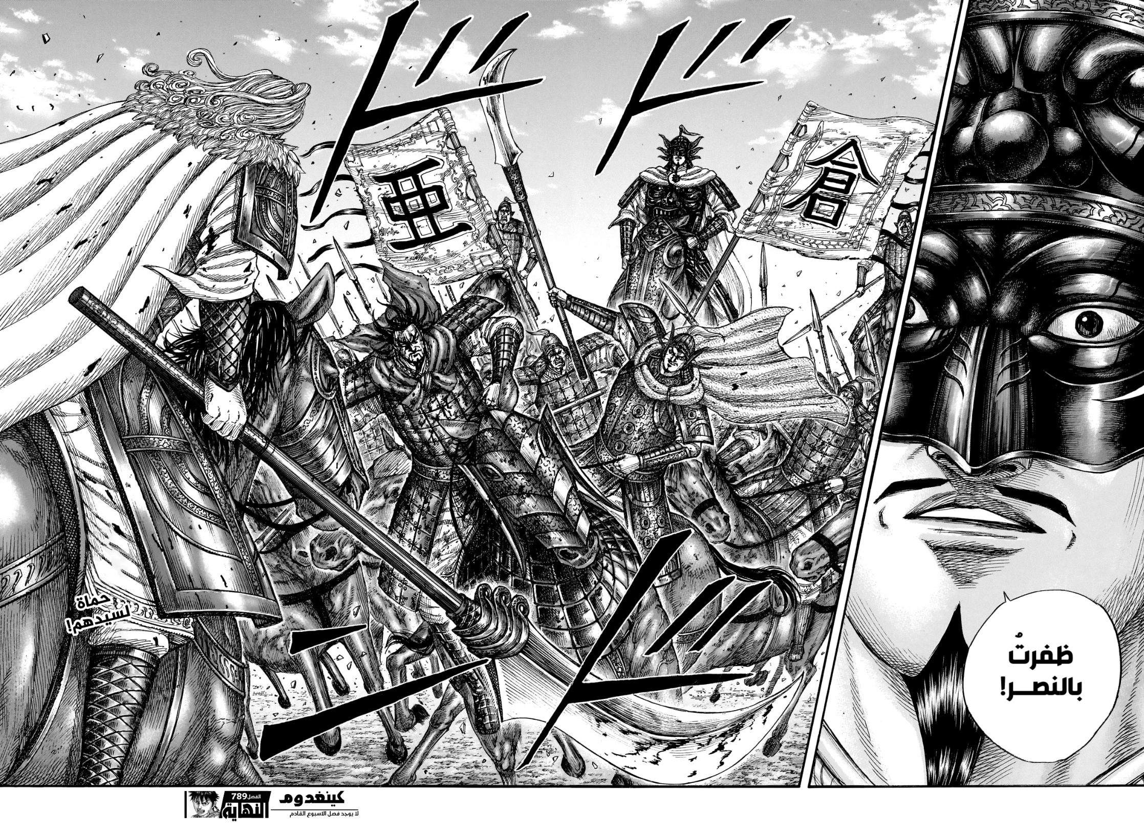 Kingdom: Chapter 789 - Page 18