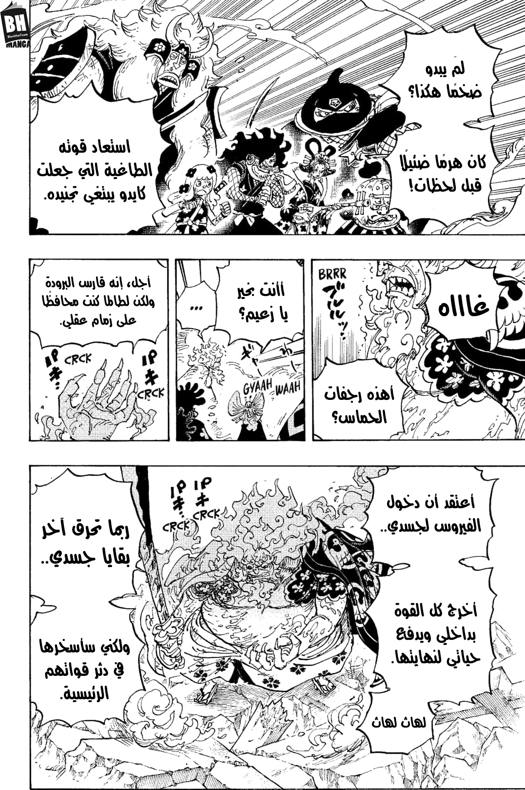 One Piece: Chapter 1006 - Page 10