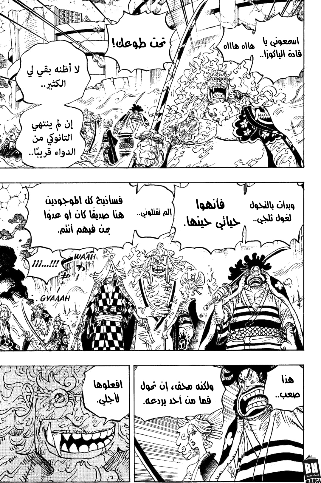 One Piece: Chapter 1006 - Page 11