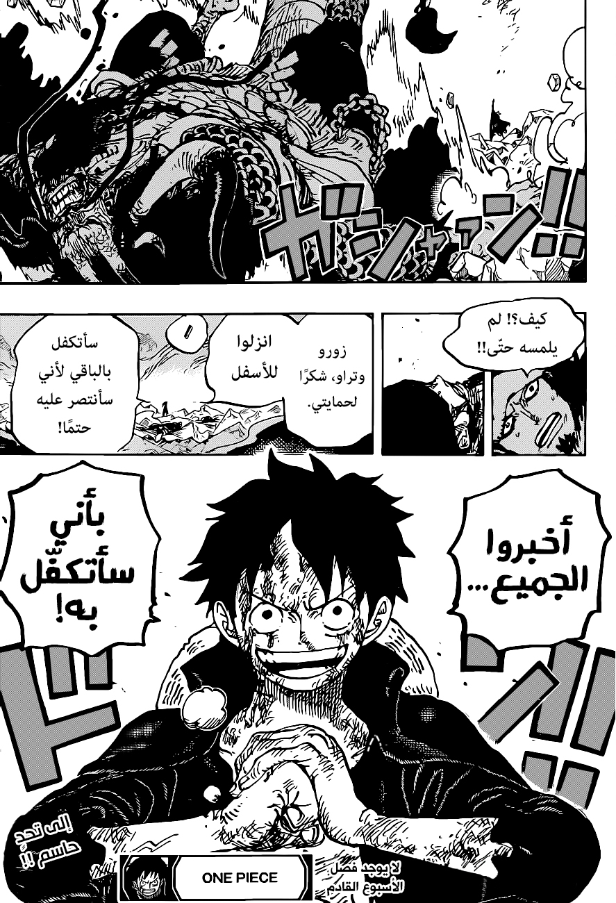 One Piece: Chapter 1010 - Page 17