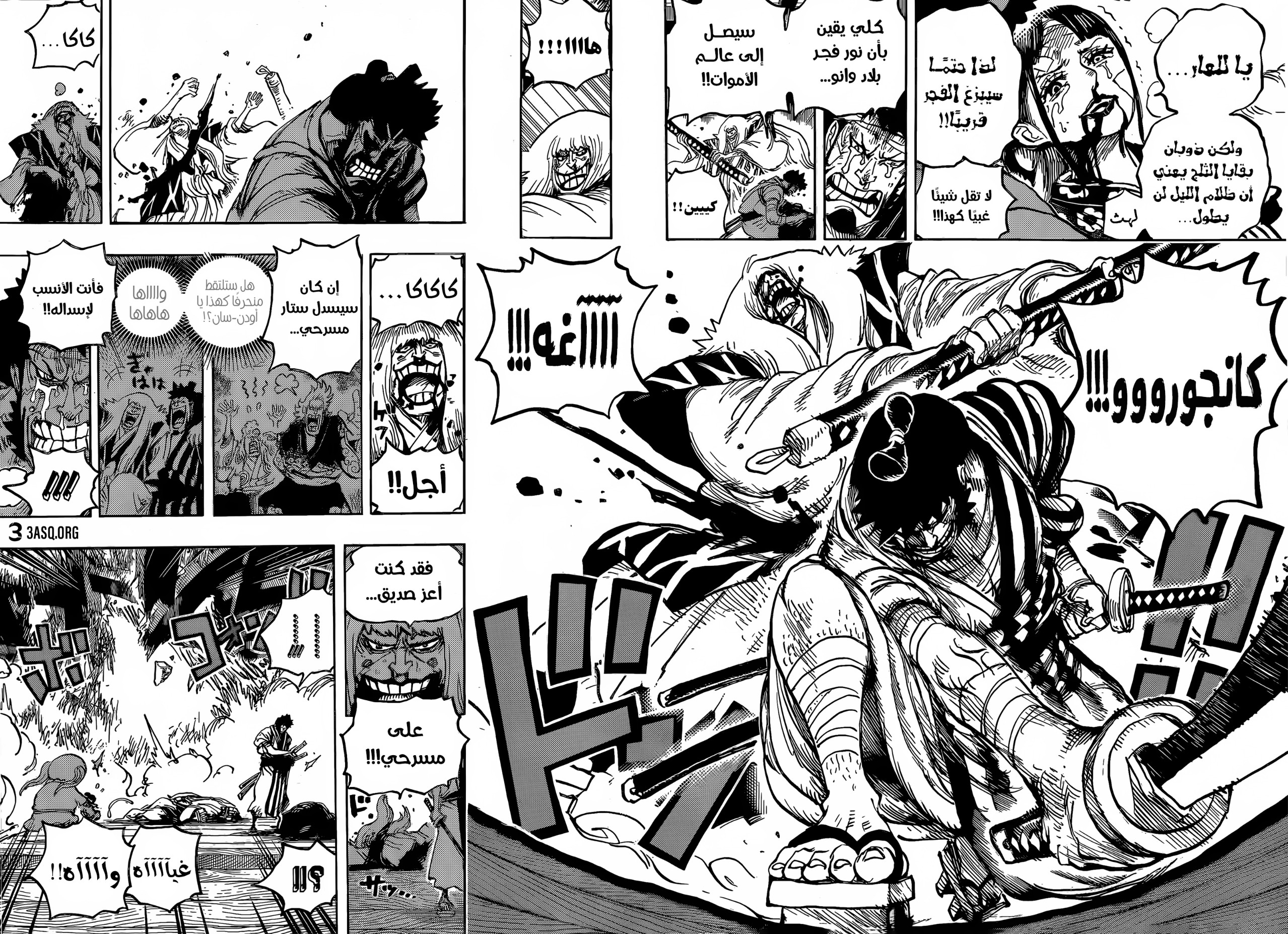 One Piece: Chapter 1014 - Page 14