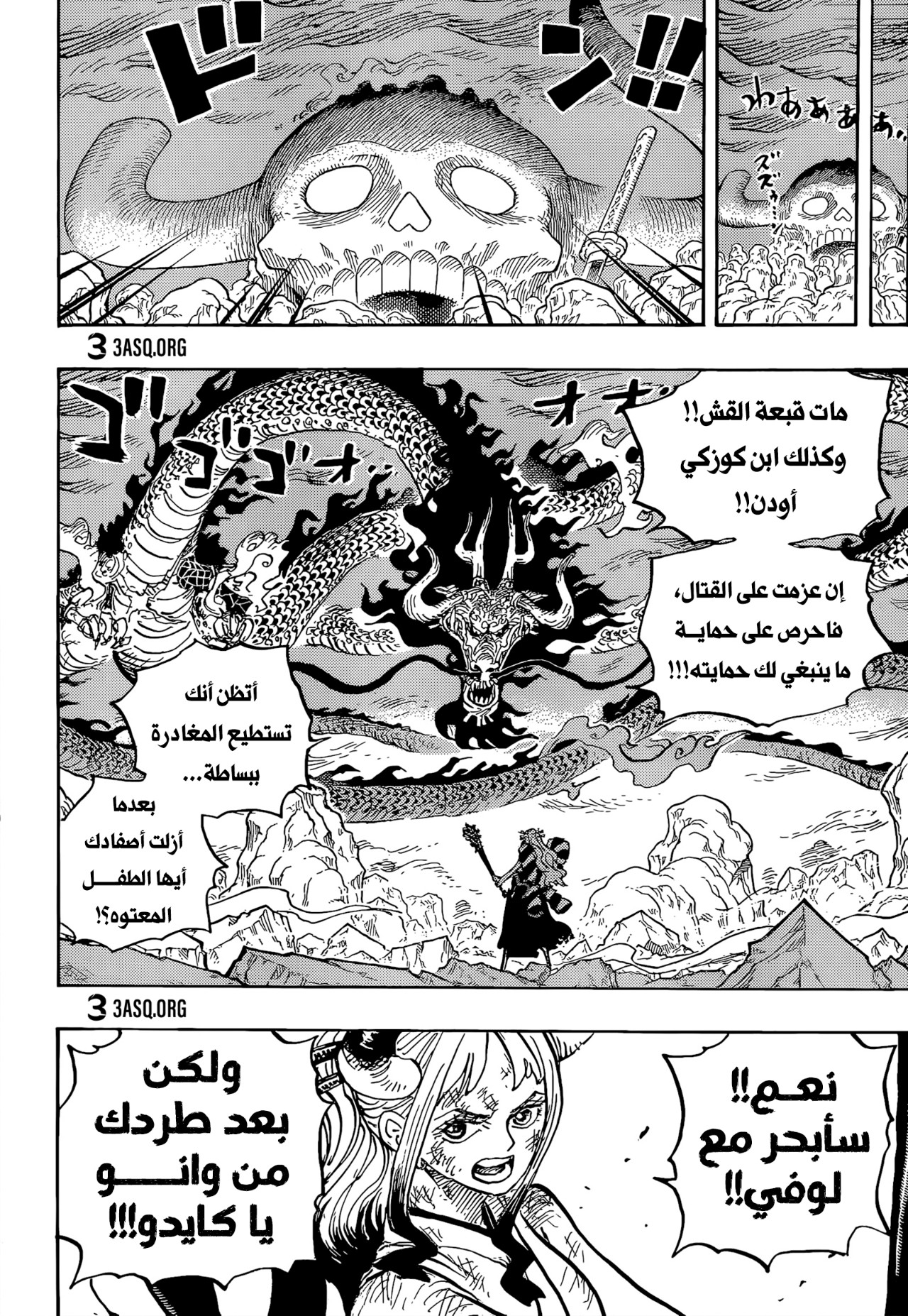 One Piece: Chapter 1016 - Page 14