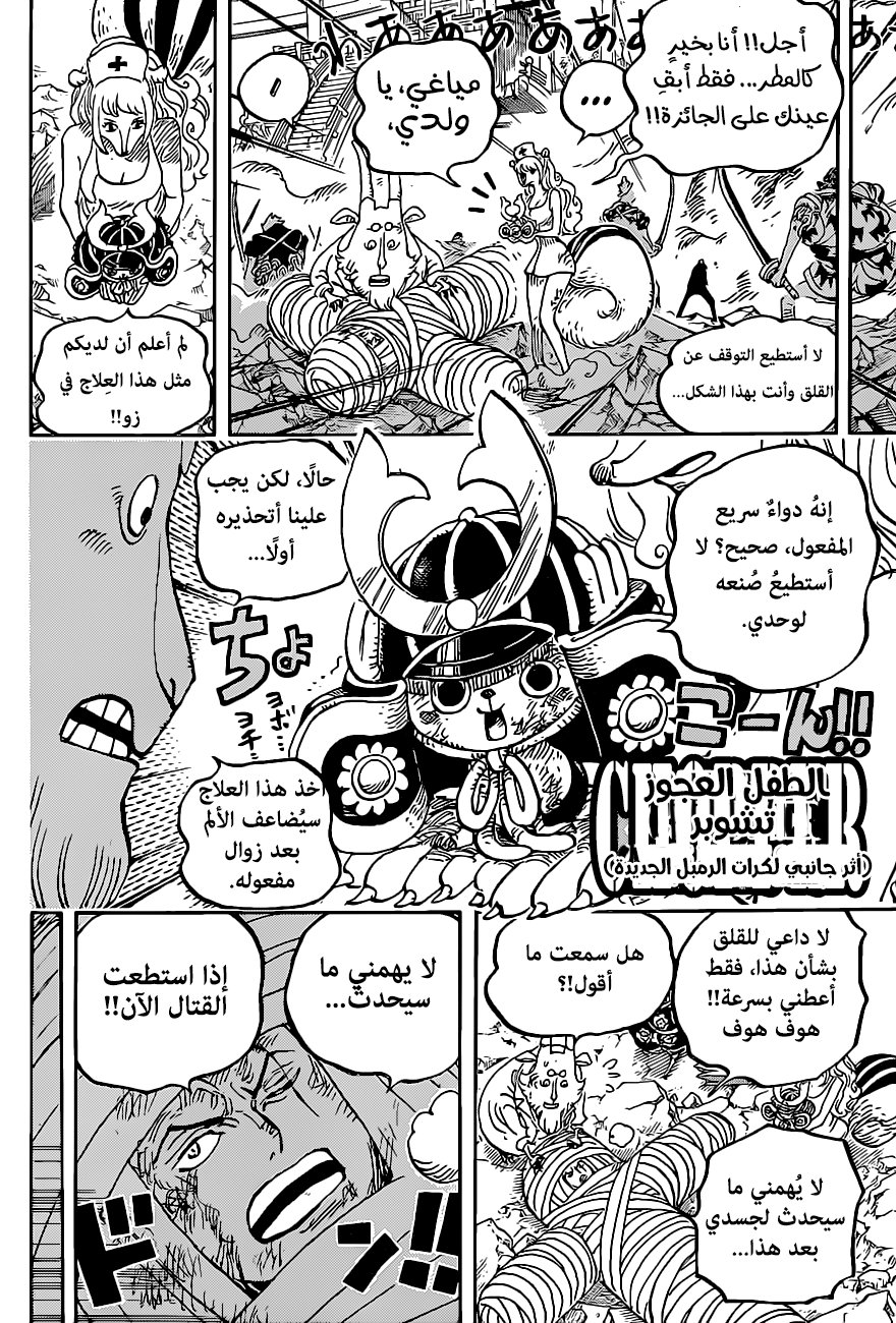 One Piece: Chapter 1017 - Page 12