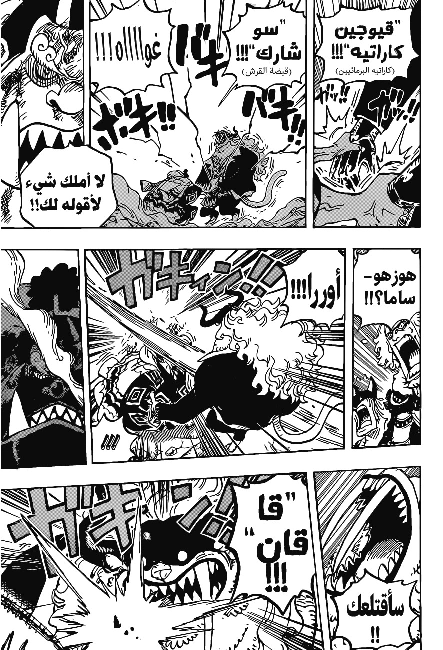One Piece: Chapter 1018 - Page 15