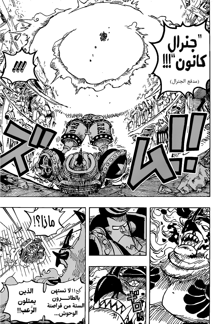 One Piece: Chapter 1019 - Page 15