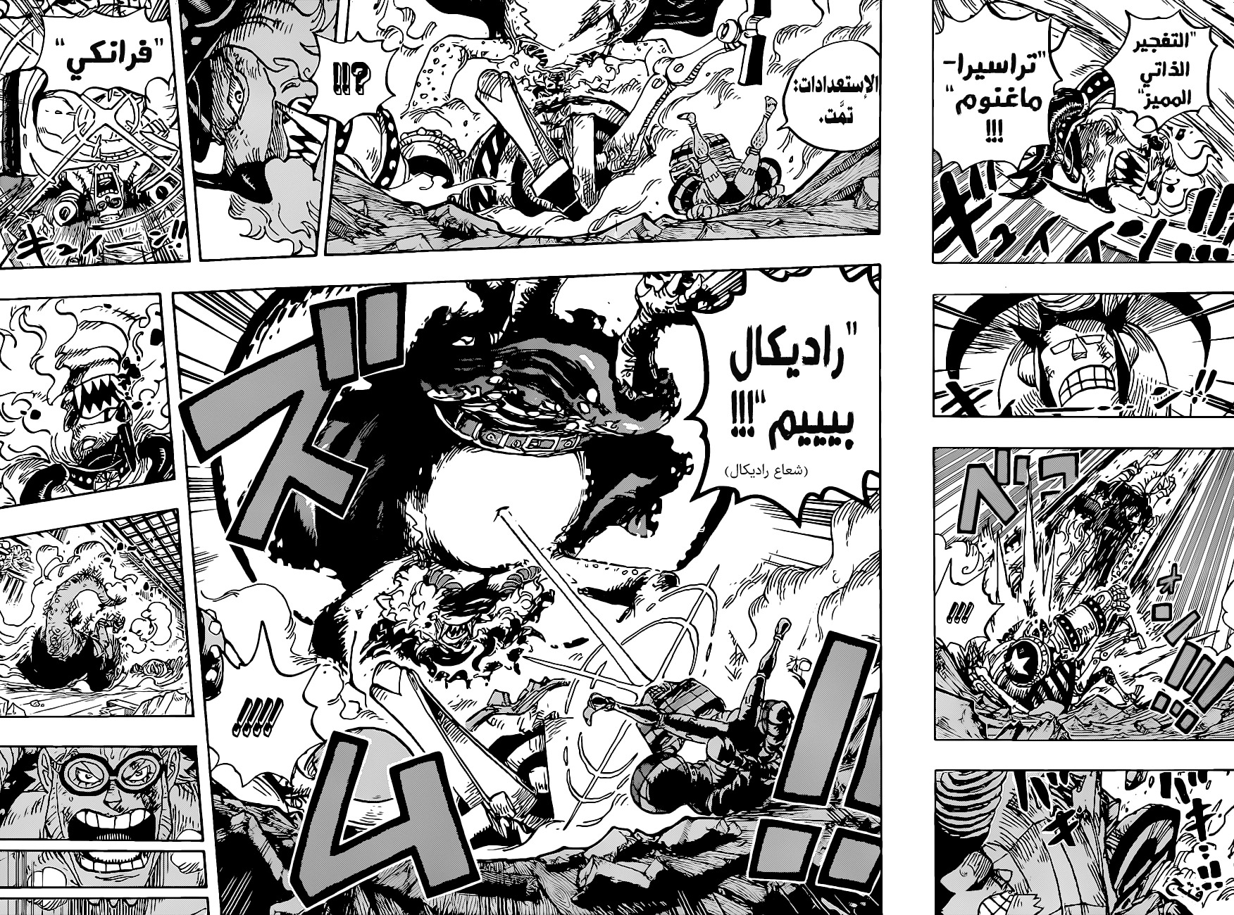 One Piece: Chapter 1019 - Page 16