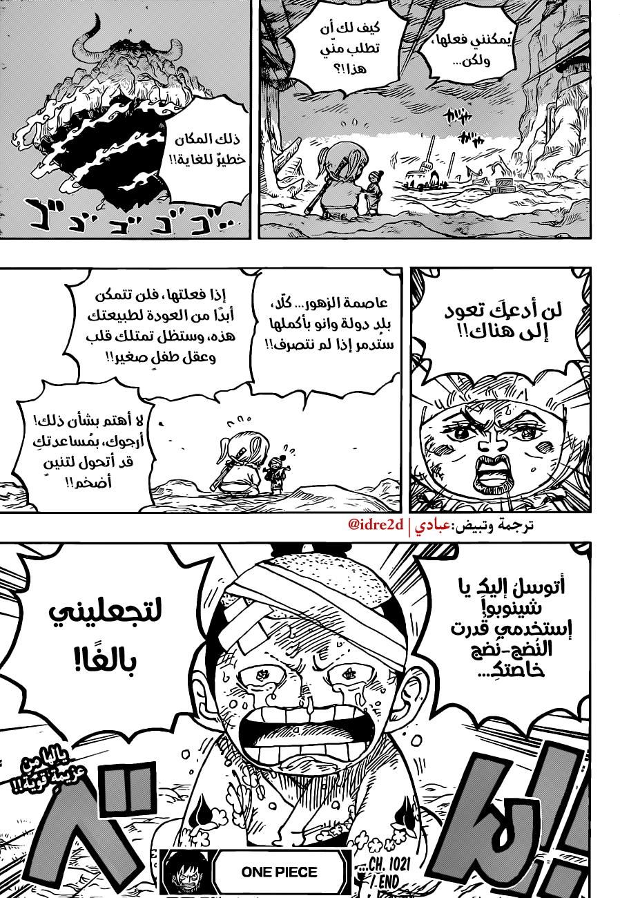 One Piece: Chapter 1021 - Page 16