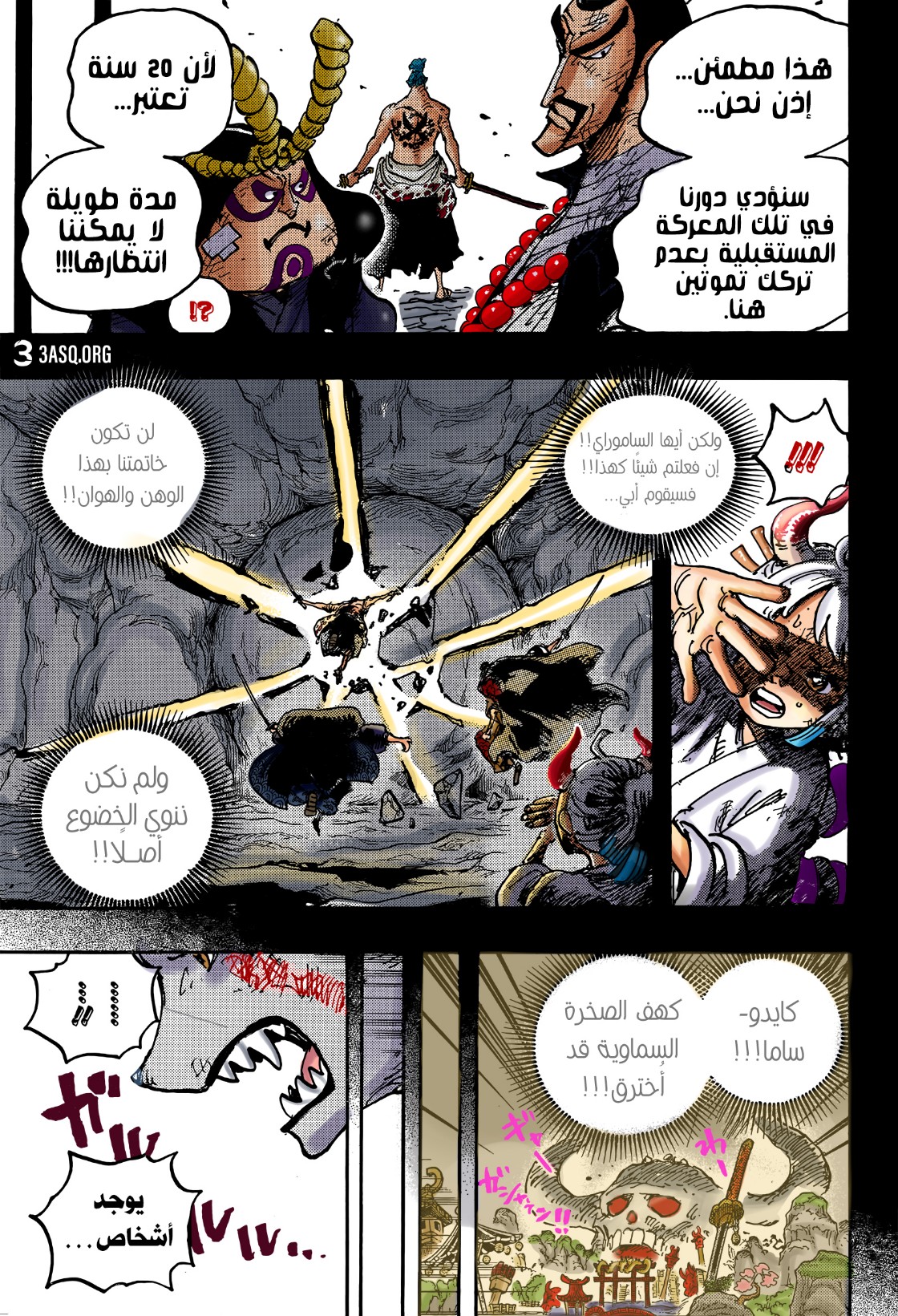 One Piece: Chapter 1024 - Page 22