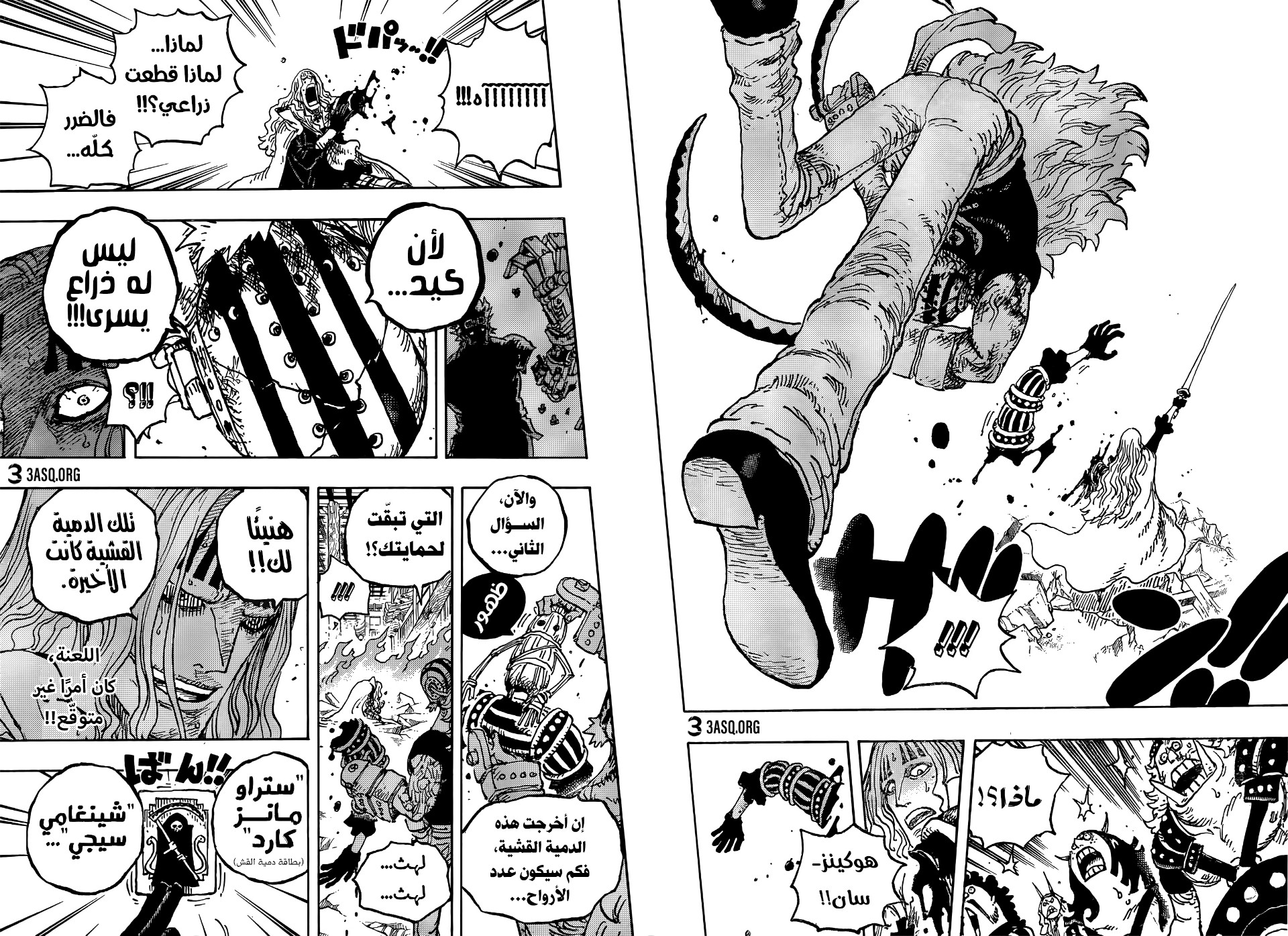 One Piece: Chapter 1029 - Page 14