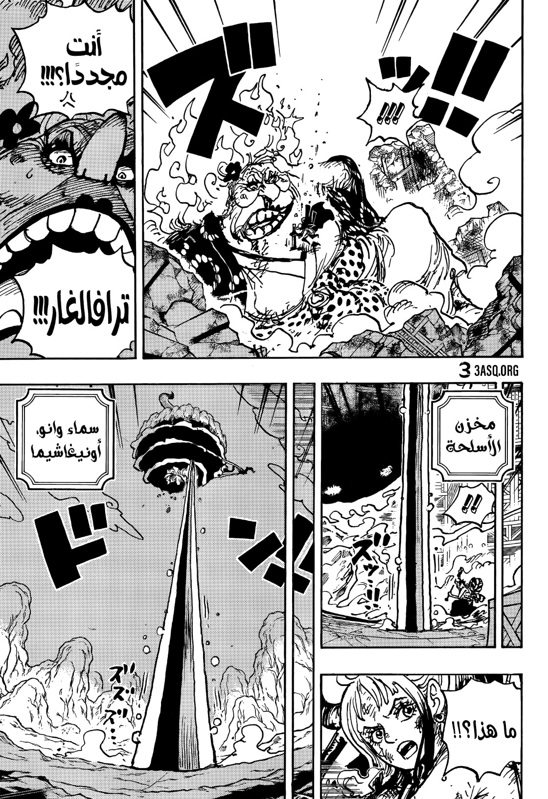 One Piece: Chapter 1039 - Page 12