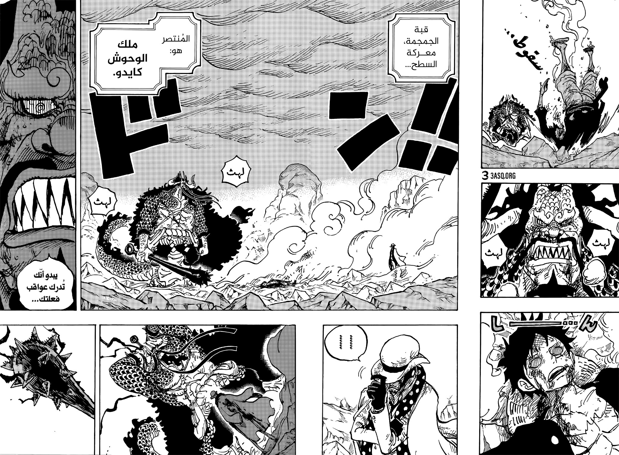 One Piece: Chapter 1043 - Page 5