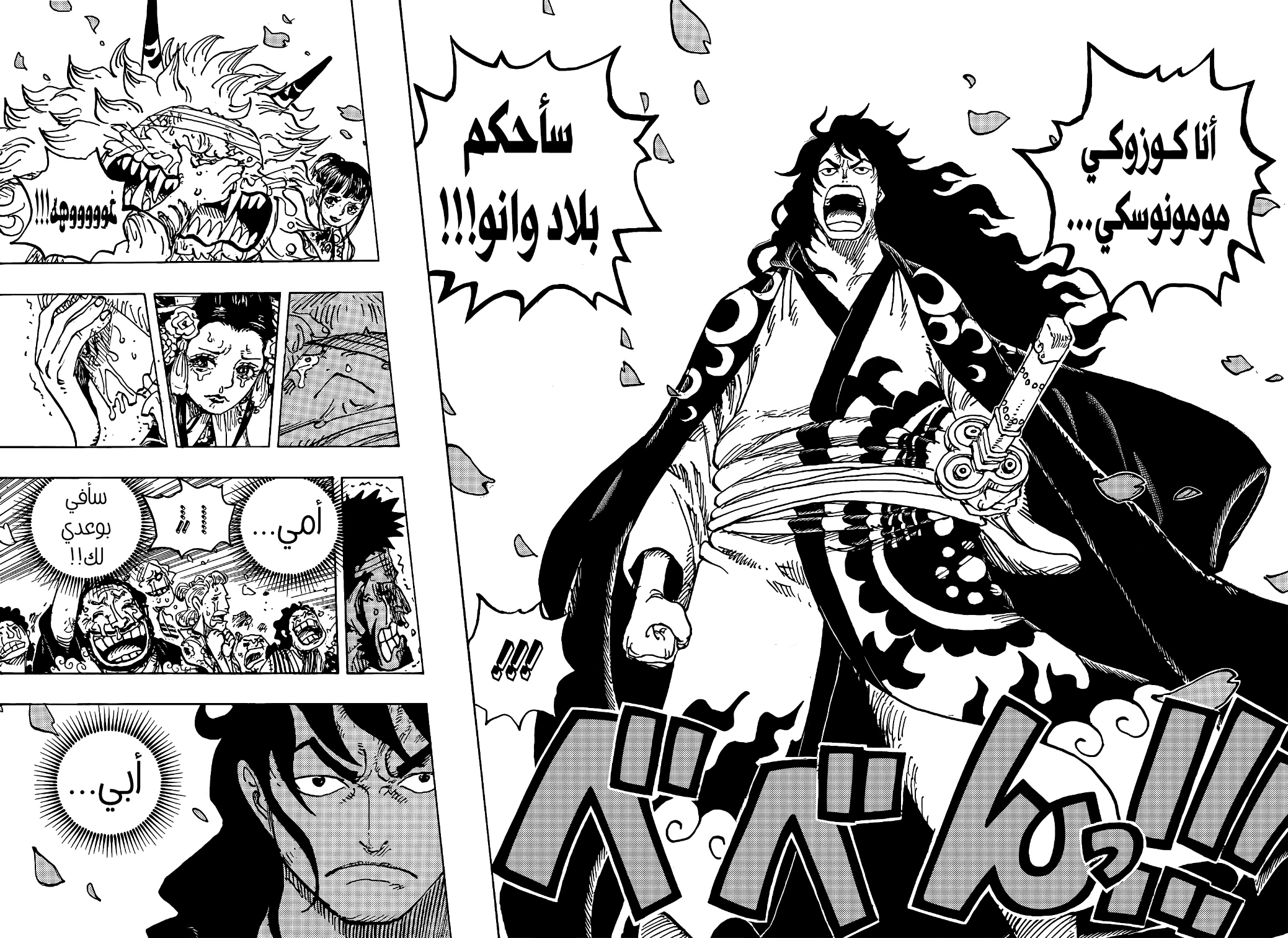 One Piece: Chapter 1051 - Page 14