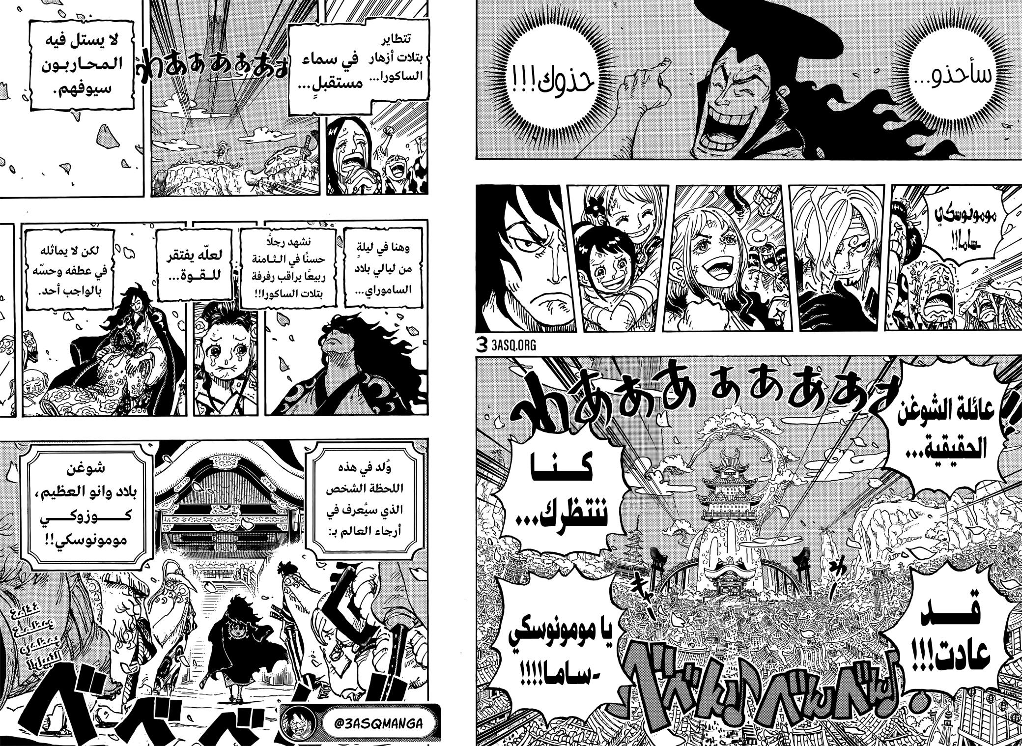 One Piece: Chapter 1051 - Page 15