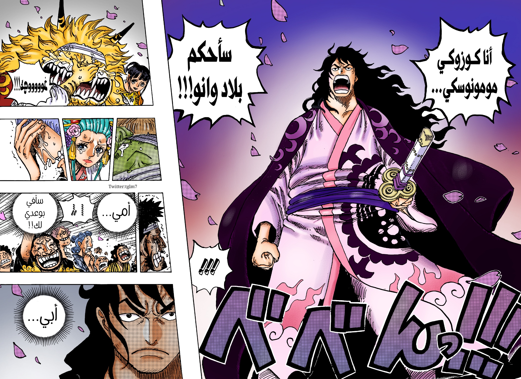 One Piece: Chapter 1051 - Page 16